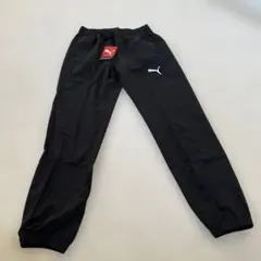 Item thumbnail for item f9fd4ffe-3365-403f-a32e-37c0c03d616c