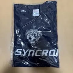 BCORSAIRS ネイビー Lサイズ Tシャツ