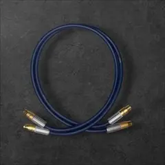 2026年最新】SAEC RCA 6Nの人気アイテム - メルカリ