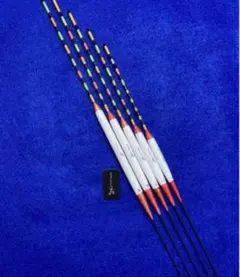 Item thumbnail for item 13856923-64f1-4f9a-86ed-a3e70bb34e2b