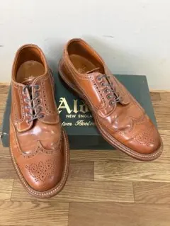 ALDEN オールデン ウイスキー コードバン 3195Y 9.5Dのサムネイル