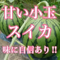 小玉スイカ 8kg〜10kg 旨い！のサムネイル