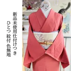 【新品未使用仕付けつき ひとつ紋付 色無地】