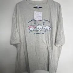 ちいかわ サンリオキャラクターズ　 半袖Tシャツ オートミール 3L-4Lのサムネイル
