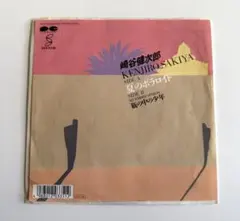 崎谷健次郎 夏のポラロイド レコード EP 7インチ 和モノ シティポップ