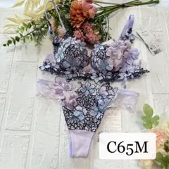新品　ワコール　サルート　店舗限定　89G F70 ローライズL PU サルート 店舗限定49G グループ美しい青い街ブラジャー&ショーツ