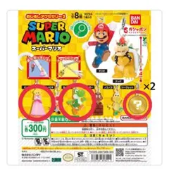 スーパーマリオ めじるしアクセサリー2 カプセルトイ ガシャポン ガチャガチャ