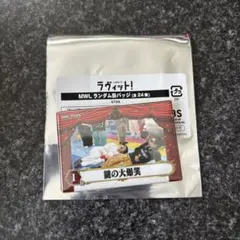 拉比百貨 MWL隨機徽章 第一名謎樣的大爆笑 川島明 Oideyasu Oda