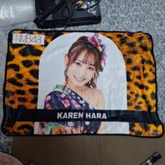 Item thumbnail for item 47d65fda-8656-4427-966d-65257a2c42ec