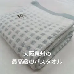 Item thumbnail for item a2b0ef7b-5c12-47db-9a81-c79a2505a1d4