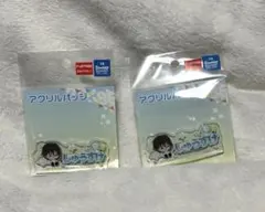 即購入⭕️新テニ サンリオコラボ おなまえプレートバッジ 不二周助2点セット