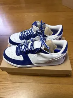 Nike スニーカー ホワイト/ブルー