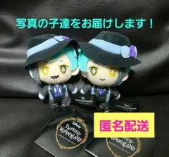 ツイステッドワンダーランド ツイステ 寮服マスコット ジェイド フロイド B