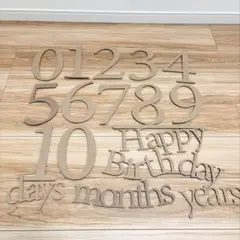 3COINS レターバナー 月齢フォト 誕生日 お祝い 100日