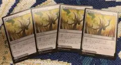 MTG 剃刀草の待ち伏せ 剃刀草の原野4枚セット 日本語版のサムネイル