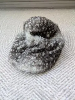 Item thumbnail for item fa37d377-285f-4e9b-9b76-797400d4b6ff