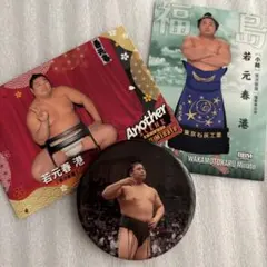 大相撲　若元春　缶バッジ　おまけカード2枚付きのサムネイル