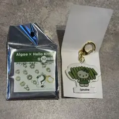 藻類 x Hello Kitty 壓克力鑰匙圈 螺旋藻