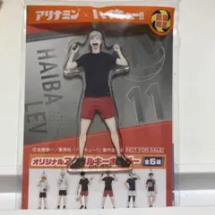 ハイキュー!! アリナミン オリジナルアクリルキーホルダー 灰羽リエーフ