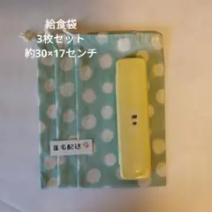 【匿名配送】縦長巾着袋　箸袋　水玉　ドット　ミントグリーン　3点セット