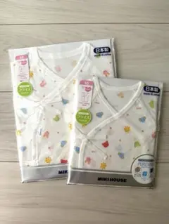 Item thumbnail for item 69ae8811-24d0-4ee8-bdb9-0795cf90d1f8