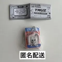 TREASURE TRUZ ブリスターチャームコレクション BONBON ガチャ