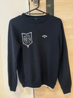 Item thumbnail for item ec60527a-a3c4-4b76-b793-6fc63349d042