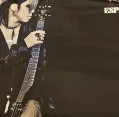 the GazettE ガゼット 葵 ESP ポスター V系 2025年最新】esp 葵の人気アイテム - メルカリ