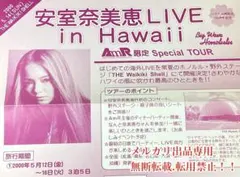 安室奈美恵 沖縄 パンフレット - メルカリ