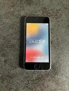 Apple iPhone SE 64GB 本体　A1723 動作品　ブラック