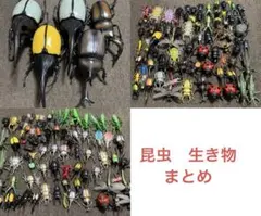 昆虫　生き物　フィギュア　big まとめ