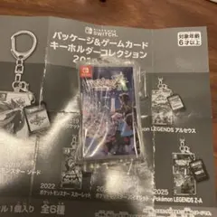 ポケモン パッケージ＆ゲームカードキーホルダーコレクション Z-A