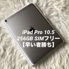 2026年最新】iPad Pro 10.5inch 512GBの人気アイテム - メルカリ
