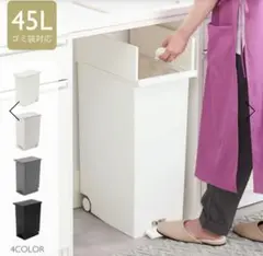2個セット KEYUCA両開きダストボックス LL（42L） ゴミ箱