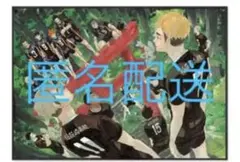 【新品】ハイキュー‼︎ 高級複製原画　AH4-JF ゴミ捨て場の決戦　2019購入 ハイキュー!! 複製原画 即購入OK ゴミ捨て場の決戦 ハイキュー