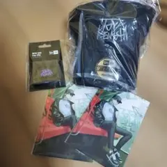 Item thumbnail for item 91fa44b6-70b3-45dc-bb7f-4a5ec9ebc322