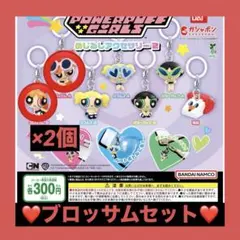 パワーパフガールズ めじるしアクセサリー2 ブロッサムA+B