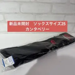 新品未使用　サイズ25 Canterbury ブラック ストッキング