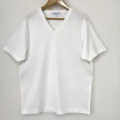 Item thumbnail for item 9a0e5962-34ad-4366-bb14-f594087c2683