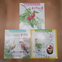かがくのとも　3冊セット