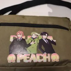 からぴち バッグ