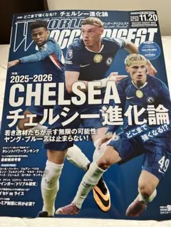 ワールドサッカーダイジェスト 付録