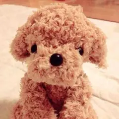 トイプードルのあみぐるみ