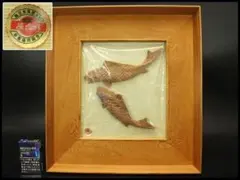 美品 特大 色鮮やかな錦海老 伊勢海老 剥製 壁掛け オブジェ￼ 美品 特大 色鮮やかな錦海老 伊勢海老 剥製 壁掛け オブジェ