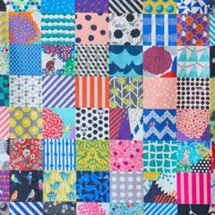 kokka エチノ20th anniversary 綿麻キャンバス マルチカラー