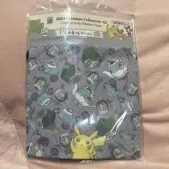 ポケモン 2024 コレクション ポーチ