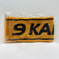 Item thumbnail for item e70f6ce9-cbd8-4e19-9c0c-907c2b60ba2a