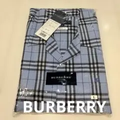 Item thumbnail for item 74835af8-cb13-4e7f-93f0-186b6397d04b