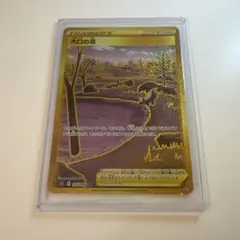 ポケモンカード 大口の沼 UR S12 125/098 パラダイムトリガー