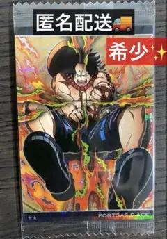 ポートガス・D・エース ホログラムカード ワンピース ウエハース